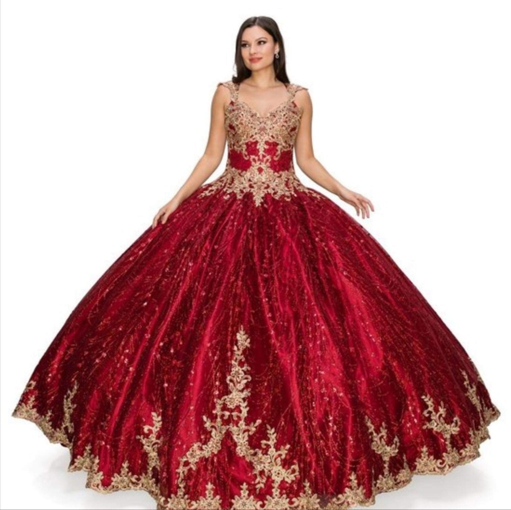 Quinceañera dress